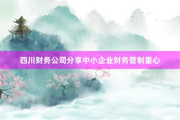 四川财务公司分享中小企业财务管制重心