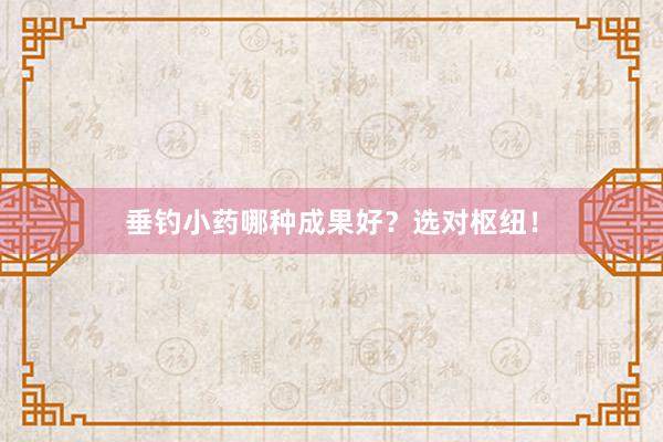 垂钓小药哪种成果好？选对枢纽！